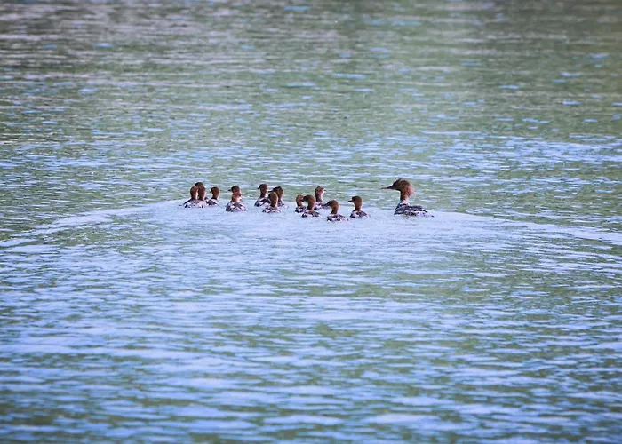 Donauhof Emmersdorf an der Donau